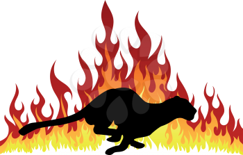Puma silhouette with flame tongues. Vector illustration.