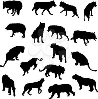 Set of wolves, tigers, leopareds and lions silhouettes. Vector illustration.