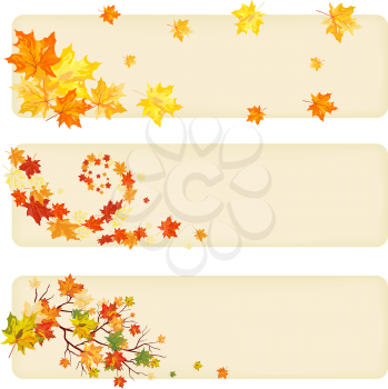 Autumn maple tree leaves on  paper banner. Vector illustration.