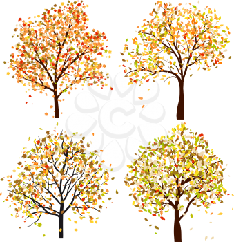 Set of four autumn tree. Vector illustration. 