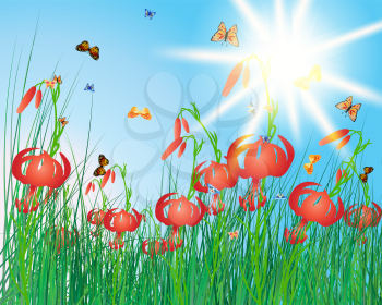 Meadow color background with butterflies. All objects are separated. Vector illustration with transparency. Eps 10.