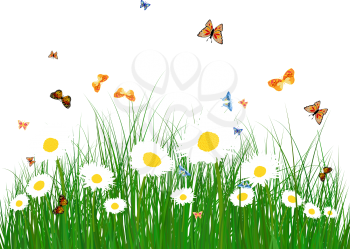 Meadow color background with butterflies. All objects are separated. Vector illustration.