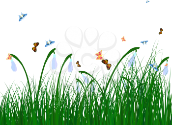 Meadow color background with butterflies. All objects are separated. Vector illustration.