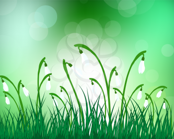 Summer meadow background with snowdrops. EPS 10 vector illustration with transparency and meshes.