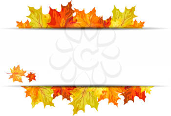 Autumn maple leaves background. Vector illustration with transparency. EPS10.