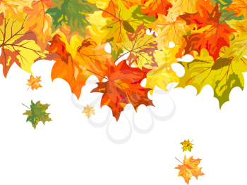 Autumn maple leaves background. Vector illustration without transparency EPS10.