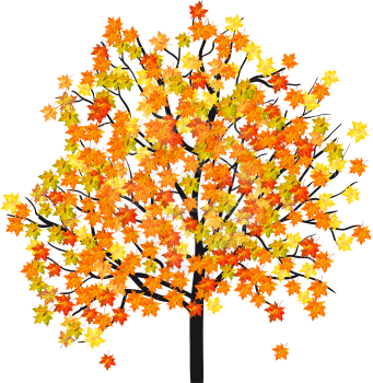 Autumn maple tree. EPS 10  Vector illustration without transparency.