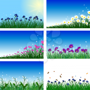 Meadow color background set with sun. All objects are separated. Vector illustration with transparency  and mesh. Eps 10.