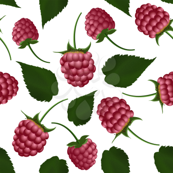 Fresh raspberry seamless pattern. EPS 10 vector illustration with transparency.