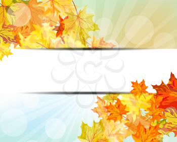 Autumn  Frame With Falling  Maple Leaves on Sky Background