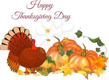 Thanksgiving Day Greeting Card With Text Space. Design Consist From Pumpkin, Turkey, Tomato, Maple Leaves Over White Background.  Very Cute and Warm Colors. Vector illustration. 