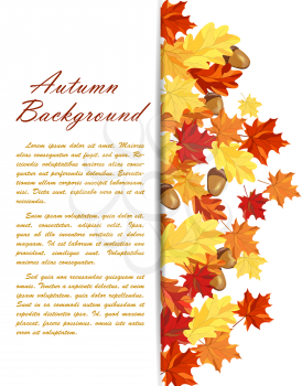 Autumn  Frame With Maple and Oak Leaves and Berries Over White Background. Elegant Design with Text Space and Ideal Balanced Colors. Vector Illustration.