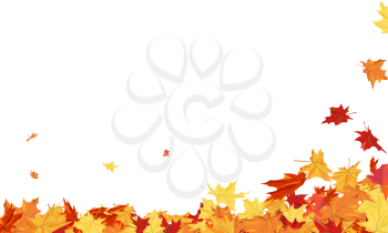 Autumn  Frame With Blowing Maple Leaves  Over White Background. Elegant Design with Text Space and Ideal Balanced Colors. Vector Illustration.
