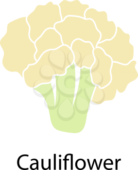 Cauliflower icon on white background. Vector illustration.
