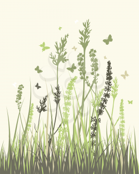 Summer meadow background. Vector illustration without transparency and meshes.
