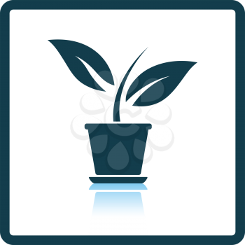 Plant in flower pot icon. Shadow reflection design. Vector illustration.