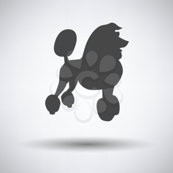 Poodle icon on gray background with round shadow. Vector illustration.