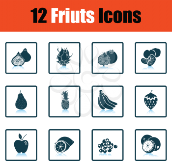 Fruit icon set. Shadow reflection design. Vector illustration.