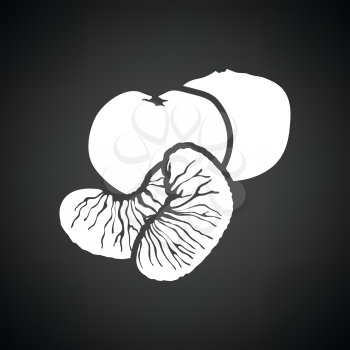 Mandarin icon. Black background with white. Vector illustration.