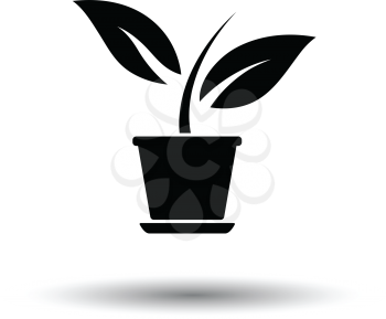 Plant in flower pot icon. White background with shadow design. Vector illustration.