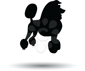 Poodle icon. Black background with white. Vector illustration.