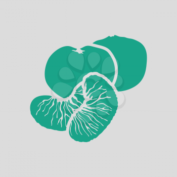 Mandarin icon. Gray background with green. Vector illustration.