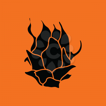 Dragon fruit icon. Orange background with black. Vector illustration.