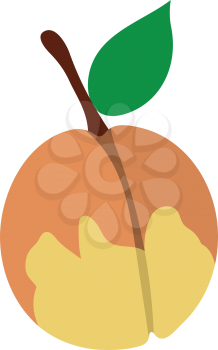 Flat design icon of Peach in ui colors. Vector illustration. 