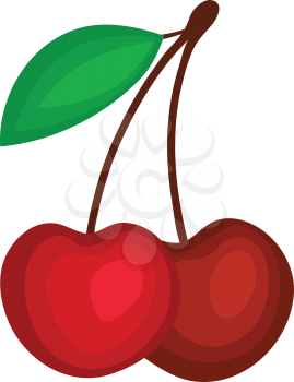 Flat design icon of Cherry in ui colors. Vector illustration. 