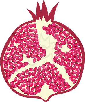 Flat design icon of Pomegranate in ui colors. Vector illustration.