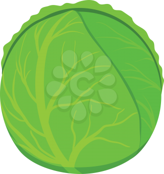 Cabbage icon. Flat color design. Vector illustration.