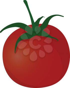 Tomatoes icon. Flat color design. Vector illustration.