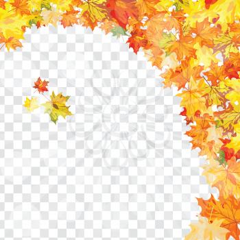 Autumn  Frame With Falling  Maple Leaves on transparency (alpha) grid background. Vector illustration.
