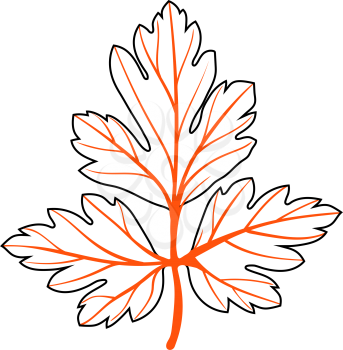 Parsley Icon. Thin Line With Orange Fill Design. Vector Illustration.