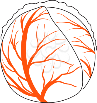 Cabbage Icon. Thin Line With Orange Fill Design. Vector Illustration.