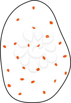 Potato Icon. Thin Line With Orange Fill Design. Vector Illustration.