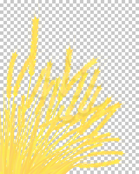 Ears of wheat on blue sky background. EPS 10 vector illustration.