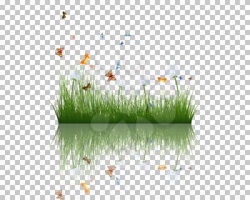 Summer grass with reflections in water. EPS 10 vector illustration.