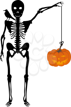 Halloween greeting (invitation) card. Elegant design with skeleton holding hanged pumpkin in hand and raven sitting on his shoulder over white background. Vector illustration.