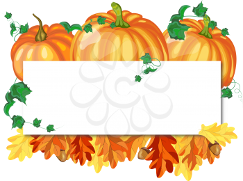 Thanksgiving day greeting card white sheet for copy space. Design consist from pumpkins, oak leaves and acorns on white background.  Very cute and warm colors. Vector illustration.