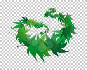 Twisted row of  maples leaves with transparency grid on back. Vector Illustration.