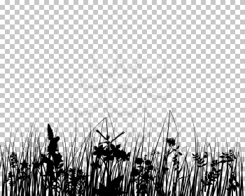 Meadow silhouette with transparency grid on back. Vector Illustration.