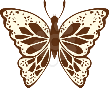 Sketch of Butterfly. Brown Line Color Design.  Vector Illustration.