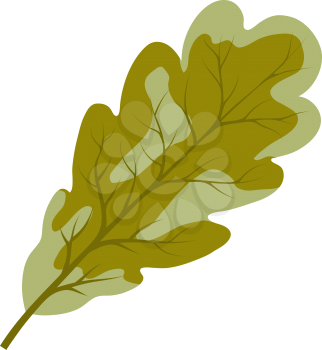 Autumn Oak Leaf. Fall Collection. Vector illustration.