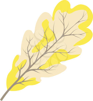 Autumn Oak Leaf. Fall Collection. Vector illustration.