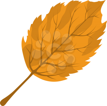 Autumn Birch Leaf. Fall Collection. Vector illustration.