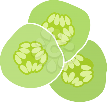 Cucumber Slices For SPA Icon. Flat Color Design. Vector Illustration.