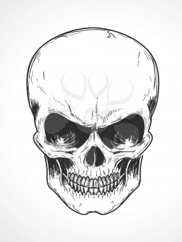 Royalty Free Clipart Image of a Human Skull