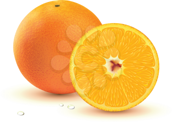 Royalty Free Clipart Image of Oranges