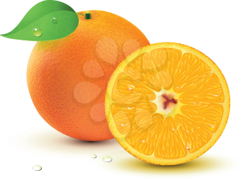 Royalty Free Clipart Image of Oranges